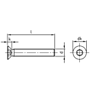 Metallschraube ISO 14581 Edelstahl A2 torx M5x16 RAL 9016 Verkehrsweiß - 500 Stück