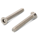 Metallschraube ISO 14581 Edelstahl A2 torx M4x10 - 500 Stück