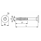 Möbel Montageschroeven Teilgewinde 4x30 vernickeld RAL 9005 schwarz torx 500 stück Möbel Montageschroeven Teilgewinde 4x30 vernickeld RAL 9005 schwarz torx 500 stück